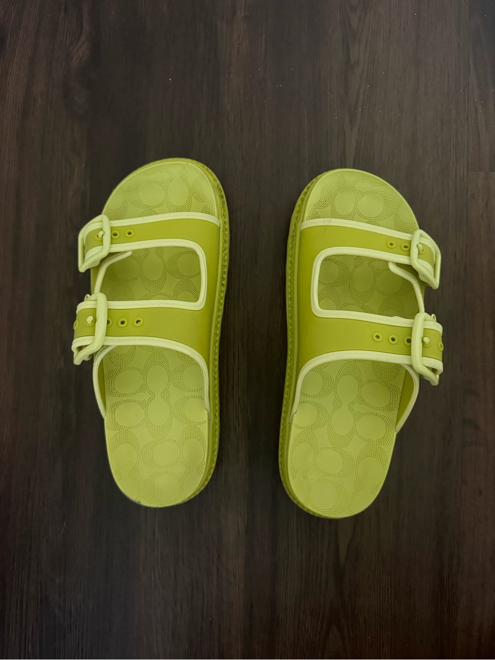 COACH KEY LIME PLATFORM SANDALS